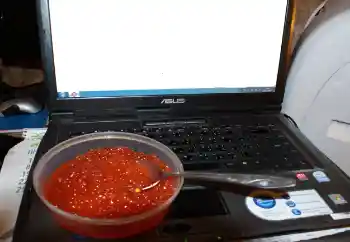 PhotoEffect da categoria Diversos № 115910 PhotoEffect da categoria Diversos № 115910