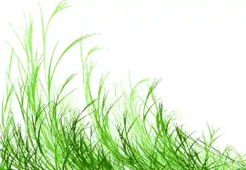 PhotoEffect da categoria Diversos № 115932 PhotoEffect da categoria Diversos № 115932