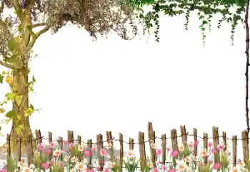 PhotoEffect da categoria Diversos № 115954 PhotoEffect da categoria Diversos № 115954