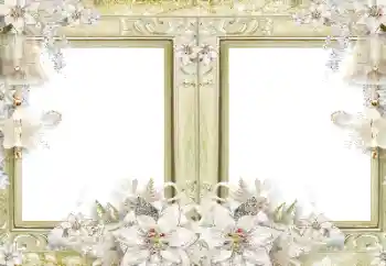 PhotoEffect da categoria Diversos № 116108 PhotoEffect da categoria Diversos № 116108