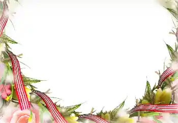 PhotoEffect da categoria Diversos № 116196 PhotoEffect da categoria Diversos № 116196