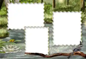 PhotoEffect da categoria Diversos № 116216 PhotoEffect da categoria Diversos № 116216