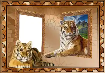 PhotoEffect da categoria Diversos № 117310 PhotoEffect da categoria Diversos № 117310