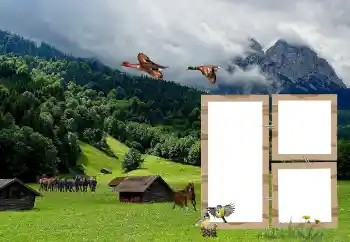 PhotoEffect da categoria Diversos № 118908 PhotoEffect da categoria Diversos № 118908