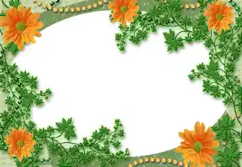 PhotoEffect da categoria Diversos № 118929 PhotoEffect da categoria Diversos № 118929