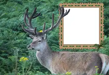 PhotoEffect da categoria Diversos № 121049 PhotoEffect da categoria Diversos № 121049