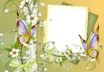 PhotoEffect da categoria Diversos № 121056 PhotoEffect da categoria Diversos № 121056