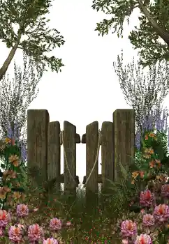 PhotoEffect da categoria Diversos № 123212