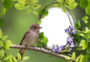 PhotoEffect da categoria Diversos № 123219