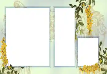 PhotoEffect da categoria Diversos № 123242