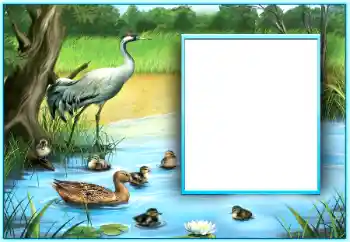 PhotoEffect da categoria Diversos № 124254