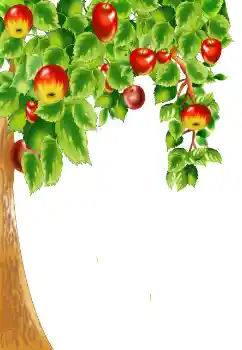 PhotoEffect da categoria Diversos № 124400