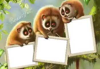 PhotoEffect da categoria Diversos № 124434