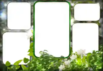 PhotoEffect da categoria Diversos № 125911