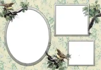 PhotoEffect da categoria Diversos № 127132