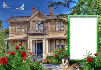 PhotoEffect da categoria Diversos № 127146 PhotoEffect da categoria Diversos № 127146