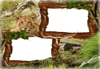 PhotoEffect da categoria Diversos № 128637