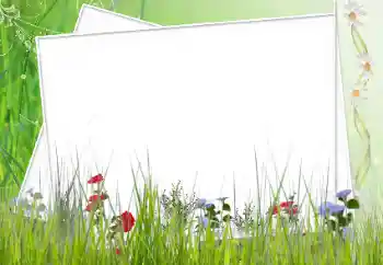 PhotoEffect da categoria Diversos № 12902