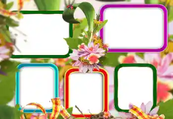 PhotoEffect da categoria Diversos № 129813 PhotoEffect da categoria Diversos № 129813