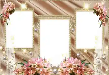 PhotoEffect da categoria Diversos № 129866 PhotoEffect da categoria Diversos № 129866