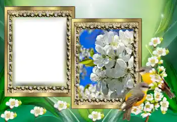 PhotoEffect da categoria Diversos № 130650 PhotoEffect da categoria Diversos № 130650