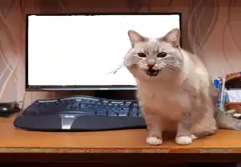 PhotoEffect da categoria Diversos № 130940 PhotoEffect da categoria Diversos № 130940