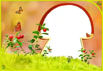 PhotoEffect da categoria Diversos № 131022 PhotoEffect da categoria Diversos № 131022