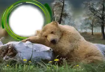 PhotoEffect da categoria Diversos № 131305 PhotoEffect da categoria Diversos № 131305