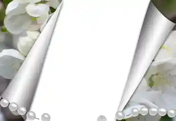 PhotoEffect da categoria Diversos № 131361 PhotoEffect da categoria Diversos № 131361