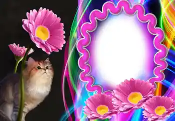 PhotoEffect da categoria Diversos № 138543 PhotoEffect da categoria Diversos № 138543