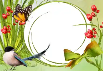 PhotoEffect da categoria Diversos № 138546 PhotoEffect da categoria Diversos № 138546