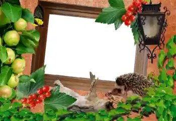 PhotoEffect da categoria Diversos № 13917