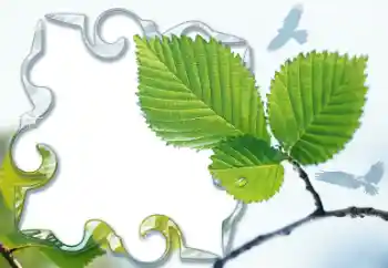 PhotoEffect da categoria Diversos № 13921