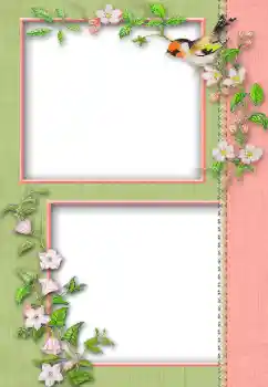 PhotoEffect da categoria Diversos № 13930