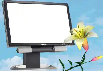 PhotoEffect da categoria Diversos № 13988