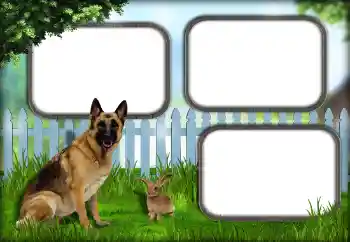 PhotoEffect da categoria Diversos № 139921