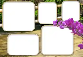 PhotoEffect da categoria Diversos № 140964