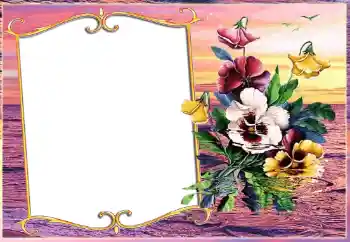 PhotoEffect da categoria Diversos № 143511 PhotoEffect da categoria Diversos № 143511