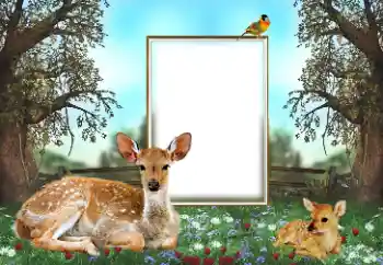 PhotoEffect da categoria Diversos № 143762