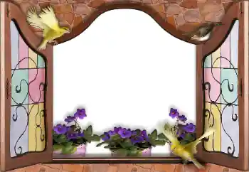 PhotoEffect da categoria Diversos № 145186 PhotoEffect da categoria Diversos № 145186