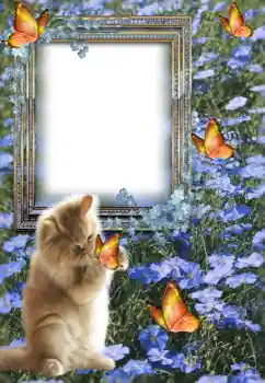 PhotoEffect da categoria Diversos № 147609