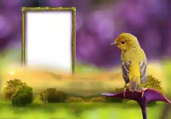 PhotoEffect da categoria Diversos № 147660