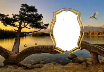 PhotoEffect da categoria Diversos № 147663