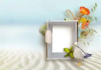 PhotoEffect da categoria Diversos № 147890