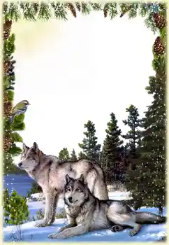 PhotoEffect da categoria Diversos № 149260