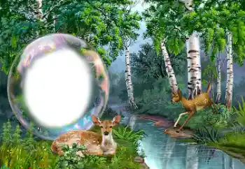 PhotoEffect da categoria Diversos № 149352 PhotoEffect da categoria Diversos № 149352