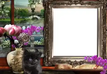 PhotoEffect da categoria Diversos № 149361 PhotoEffect da categoria Diversos № 149361