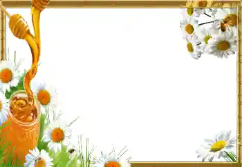 PhotoEffect da categoria Diversos № 14966