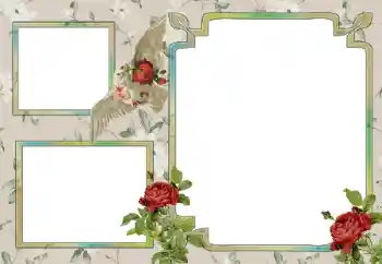 PhotoEffect da categoria Diversos № 15030