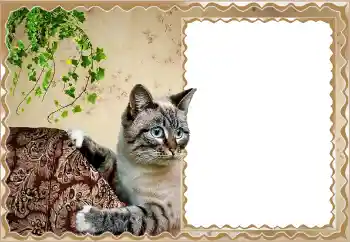 PhotoEffect da categoria Diversos № 150513